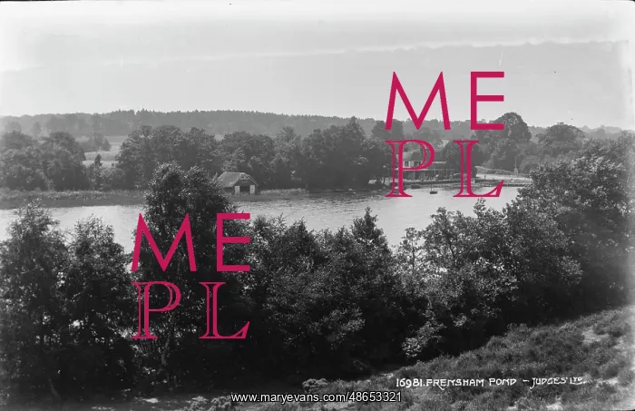  : Frensham Pond