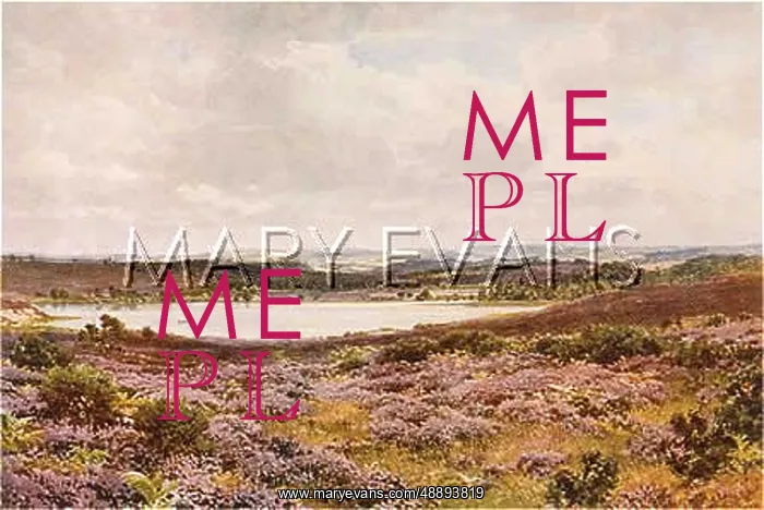  : FRENSHAM POND / SURREY