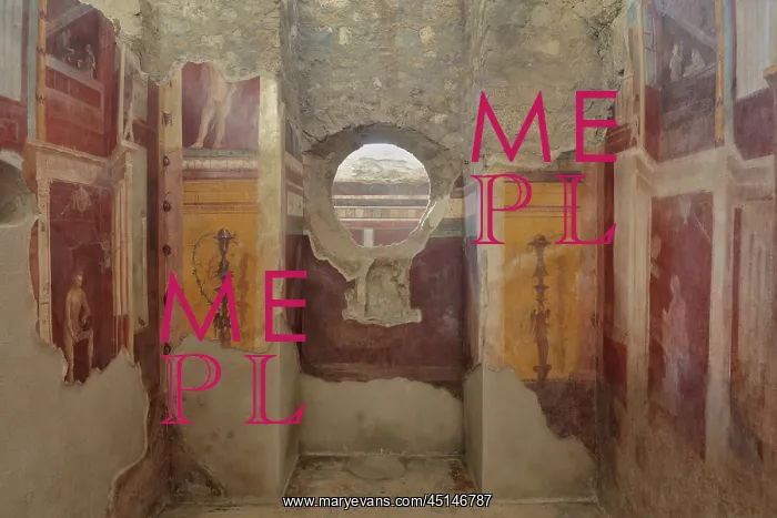 : Fresco, Frigidarium, House of the Cryptoporticus : Fresco, Frigidarium, House of the Cryptoporticus