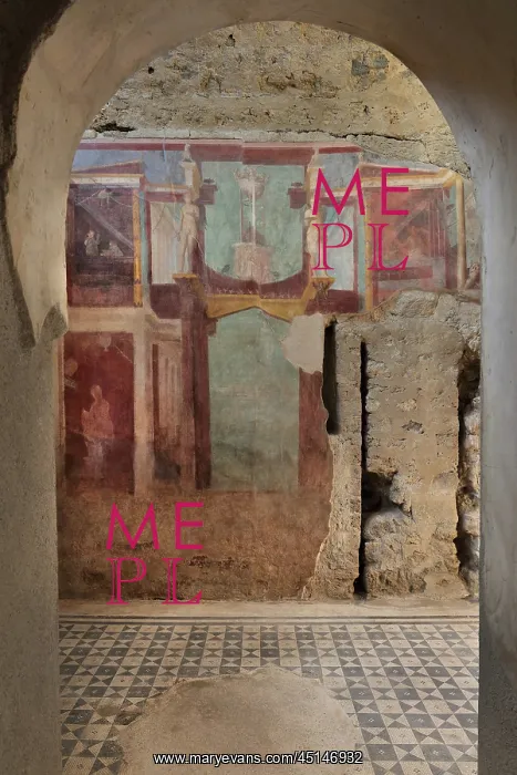 : Fresco, Frigidarium, House of the Cryptoporticus : Fresco, Frigidarium, House of the Cryptoporticus