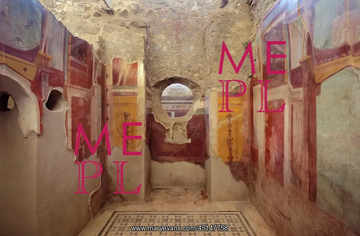 : Fresco, Frigidarium, House of the Cryptoporticus : Fresco, Frigidarium, House of the Cryptoporticus