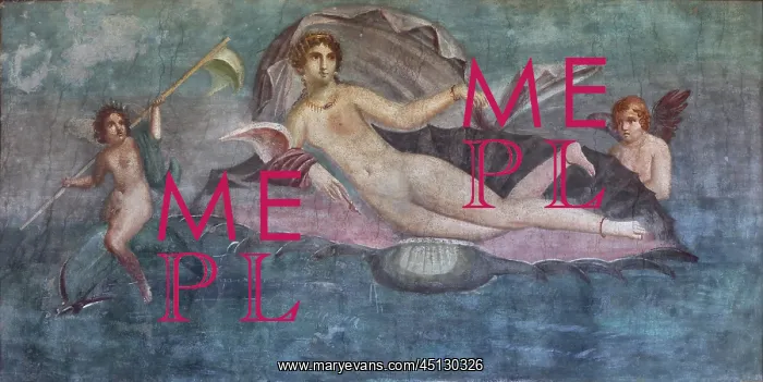 : Fresco, House of Venus in the Shell, Pompeii : Fresco, House of Venus in the Shell, Pompeii