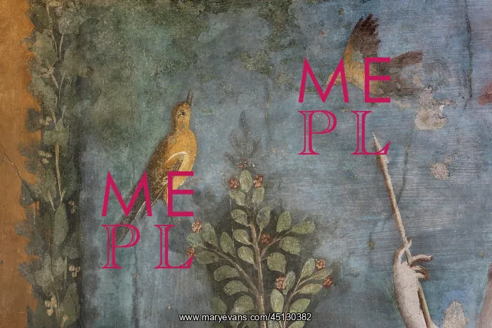 : Fresco, House of Venus in the Shell, Pompeii : Fresco, House of Venus in the Shell, Pompeii