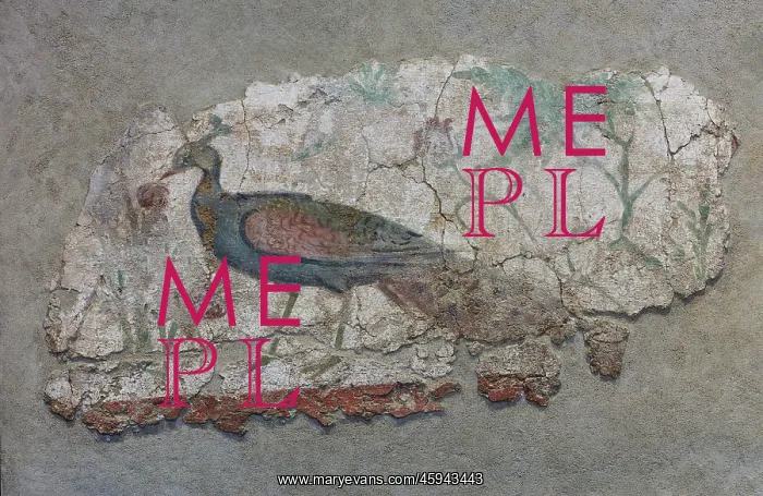 : Fresco, Museu Nacional Arqueologic de Tarragona, Spain : Fresco, Museu Nacional Arqueologic de Tarragona, Spain