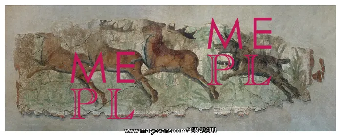 : Fresco, Museu Nacional Arqueologic de Tarragona, Spain : Fresco, Museu Nacional Arqueologic de Tarragona, Spain