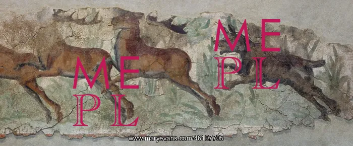 : Fresco, Museu Nacional Arqueologic de Tarragona, Spain : Fresco, Museu Nacional Arqueologic de Tarragona, Spain
