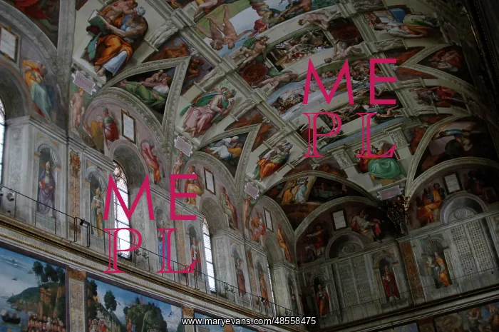 : Frescoes of the ceiling of Sistine Chapel by Michelangelo. C : Frescoes of the ceiling of Sistine Chapel by Michelangelo. C