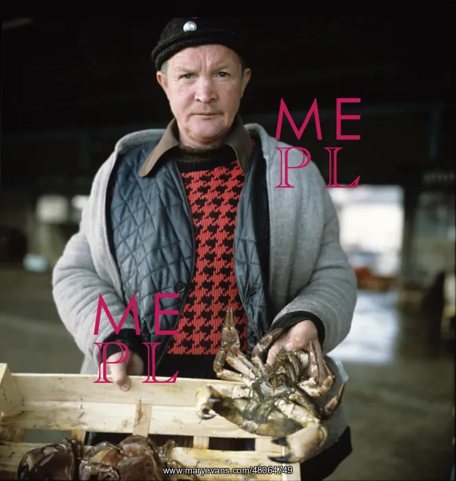  : Fresh Crabs. Hartlepool Quay 1970s