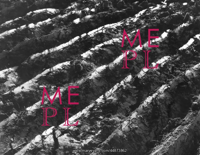  : FRESH FURROWS