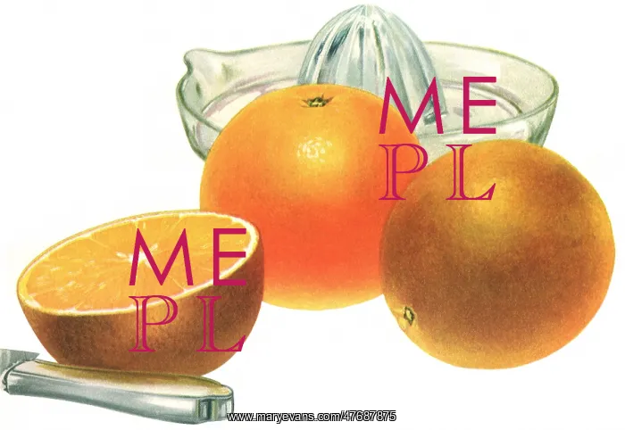 : Fresh Oranges : Fresh Oranges