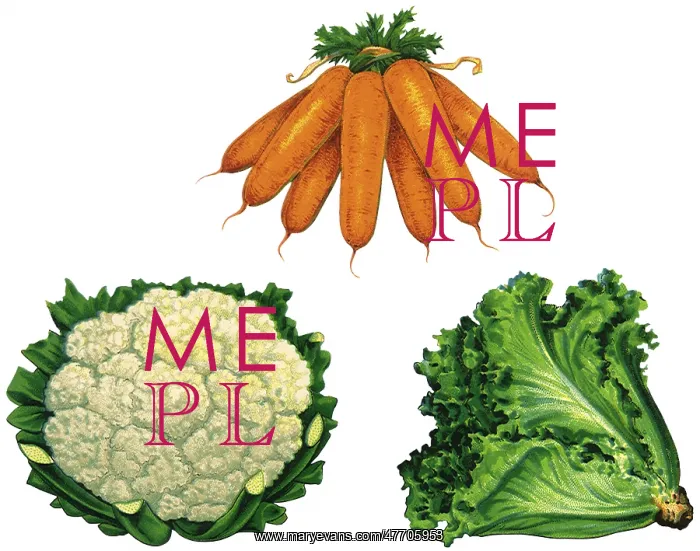  : Fresh Vegetables