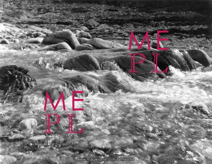 : Fresh water stream, Cornwall : Fresh water stream, Cornwall