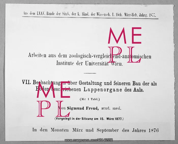 : FREUD / 1ST PAPER / 87 : FREUD / 1ST PAPER / 87