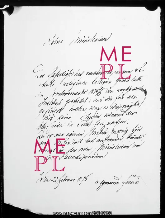 : FREUD / APPLICATION / 81 : FREUD / APPLICATION / 81