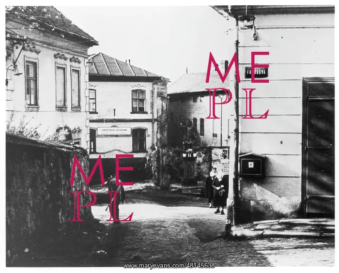 : FREUD / FREIBERG / 101A : FREUD / FREIBERG / 101A