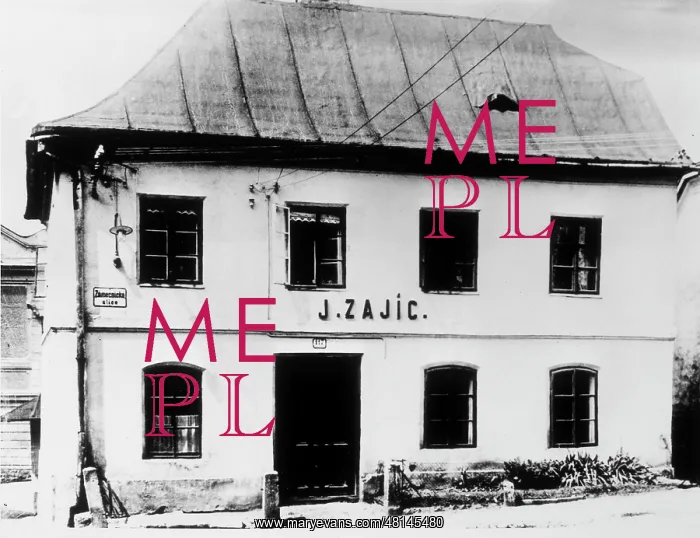 : FREUD / FREIBERG / 101B : FREUD / FREIBERG / 101B