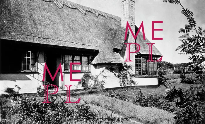 : FREUD / HIDDEN HOUSE / 128 : FREUD / HIDDEN HOUSE / 128