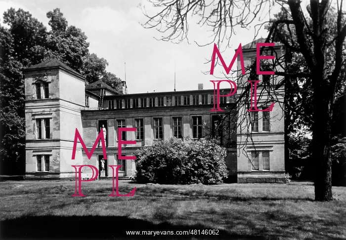 : FREUD / HUMBOLDT CASTLE123 : FREUD / HUMBOLDT CASTLE123