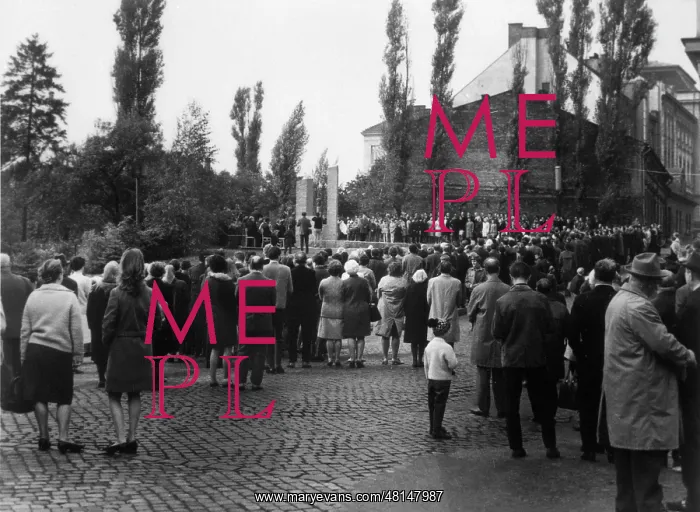 : FREUD / MONUMENT OPENS100B : FREUD / MONUMENT OPENS100B