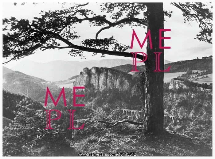 : FREUD / SEMMERING / 116 : FREUD / SEMMERING / 116
