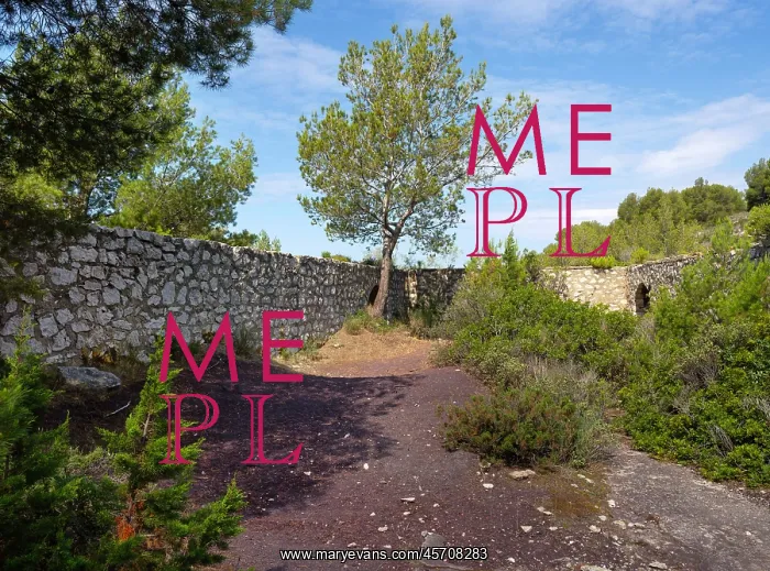 : Friche de l'Escalette, Parc National des Calanques : Friche de l'Escalette, Parc National des Calanques