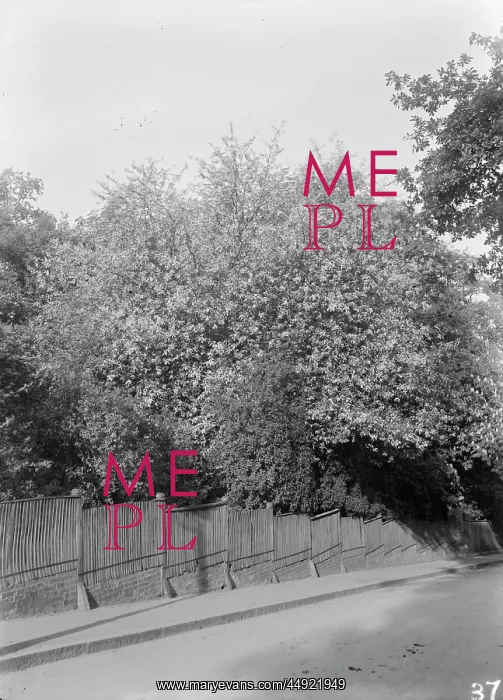 : Friday Hill, Erith Road : Friday Hill, Erith Road
