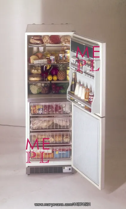  : THE FRIDGE FREEZER