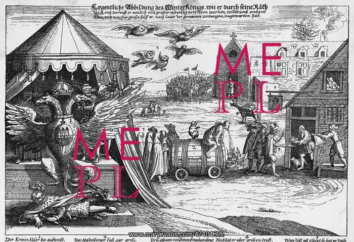 : FRIEDRICH IN BOHEMIA : FRIEDRICH IN BOHEMIA