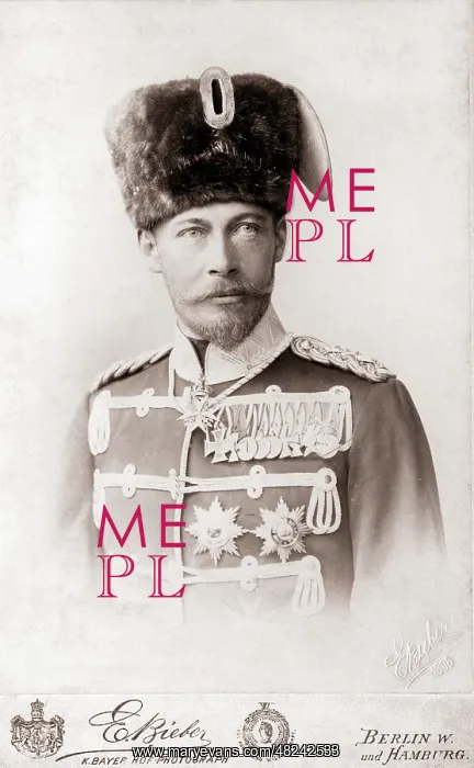 : Friedrich-Franz III : Friedrich-Franz III