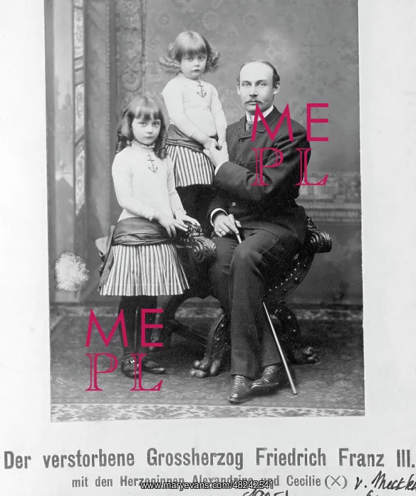 : Friedrich-Franz III : Friedrich-Franz III