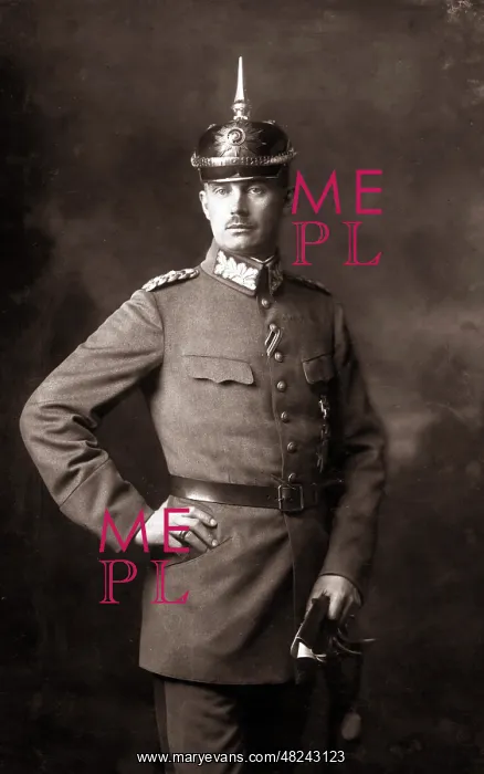 : Friedrich Franz IV : Friedrich Franz IV