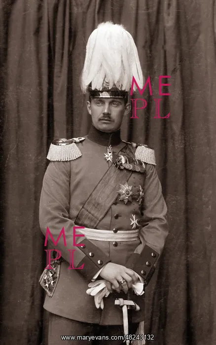 : Friedrich Franz IV : Friedrich Franz IV