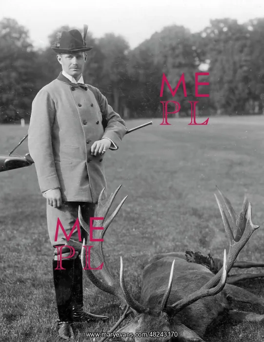 : Friedrich Franz IV : Friedrich Franz IV