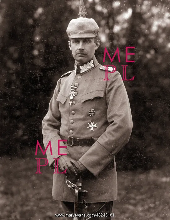 : Friedrich Franz IV : Friedrich Franz IV