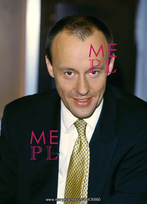 : Friedrich Merz : Friedrich Merz