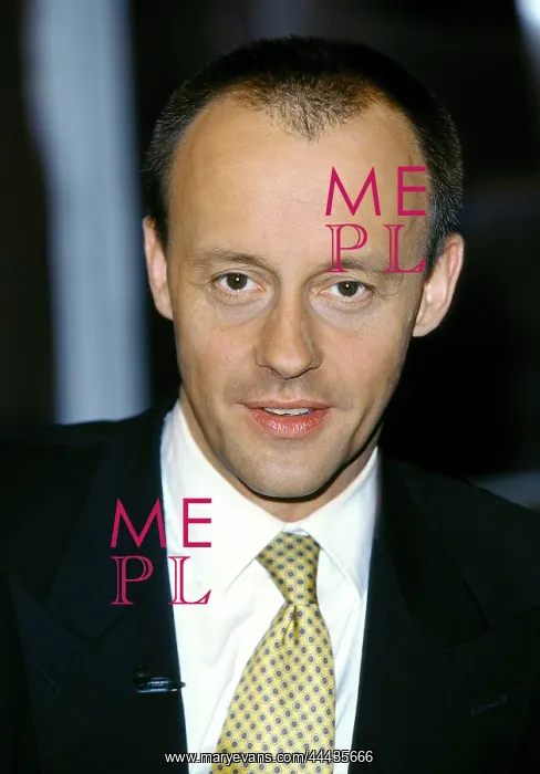 : Friedrich Merz : Friedrich Merz
