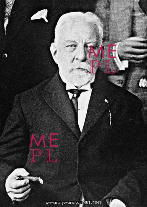 : Friedrich Rosen : Friedrich Rosen