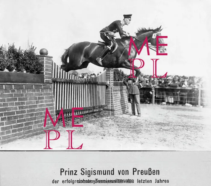 : Friedrich-Sigismund : Friedrich-Sigismund