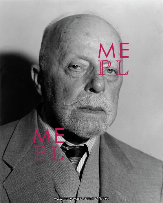 : Friedrich Wilhelm Foerster : Friedrich Wilhelm Foerster