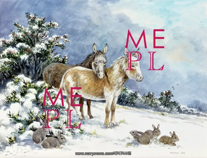 : Friends at Pasture ? donkeys and rabbits in snow : Friends at Pasture ? donkeys and rabbits in snow