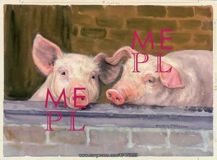  : Friends ??two pigs looking over a wall