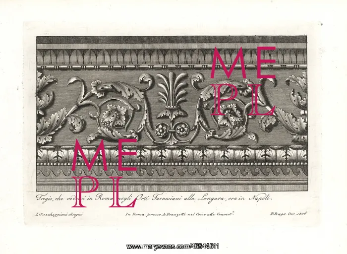 : Frieze with decorative foliage from the Farnese : Frieze with decorative foliage from the Farnese