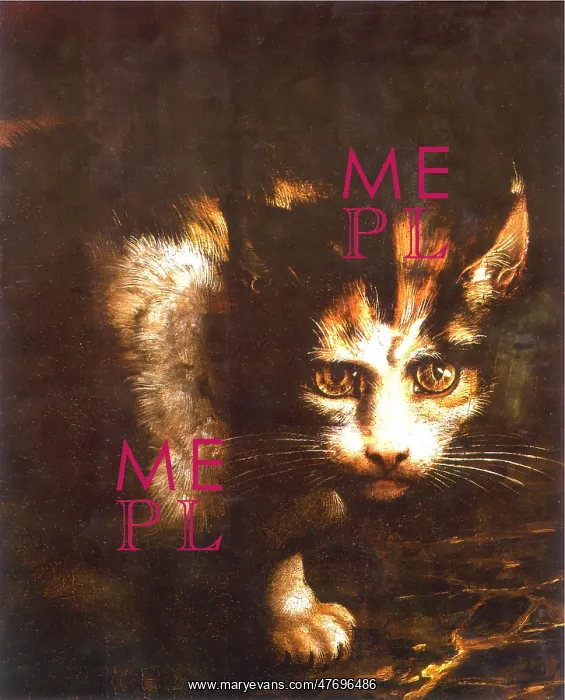 : Frightened Cat : Frightened Cat