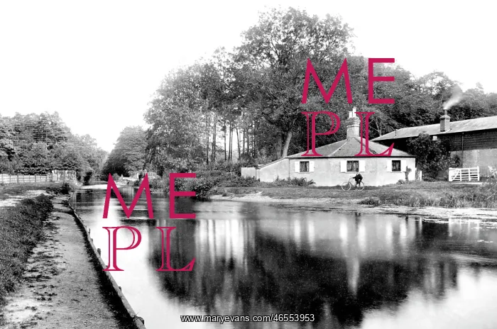  : Frimley Green, the Canal 1906