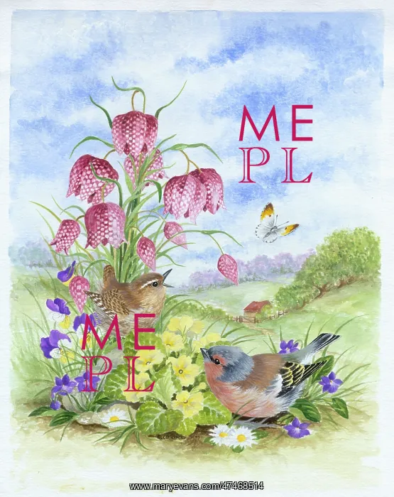  : Fritillaries, Wren and Chaffinch
