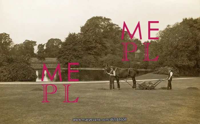 : Froebel Lake & Grove - Roehampton University : Froebel Lake & Grove - Roehampton University