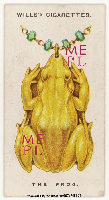  : FROG AMULET