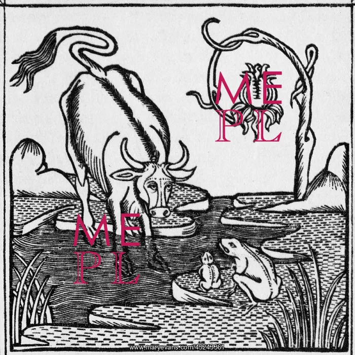  : The frog & the bull