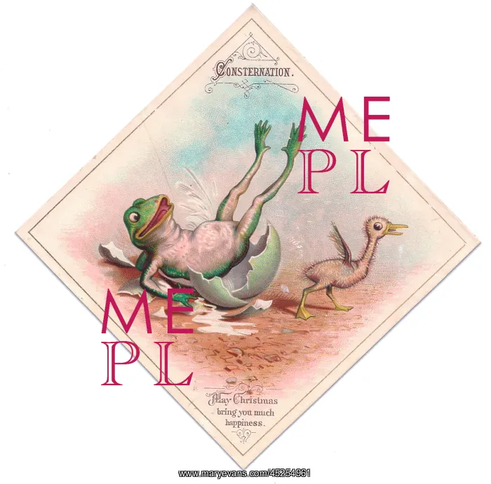 : Frog and duckling on a Christmas card : Frog and duckling on a Christmas card