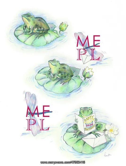 : Frog on a lily pad with dragonfly and card : Frog on a lily pad with dragonfly and card